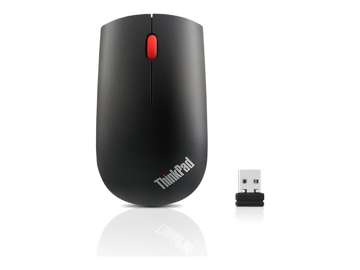 Teclados e Ratos